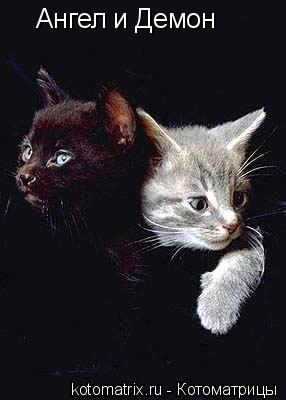 Котоматрица: Ангел и Демон