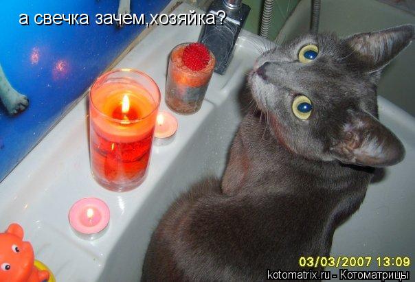 а свечка зачем,хозяйка?... Котоматрица: а свечка зачем,хозяйка?