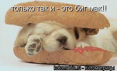 только так и - это биг мак!!... Котоматрица: только так и - это биг мак!!
