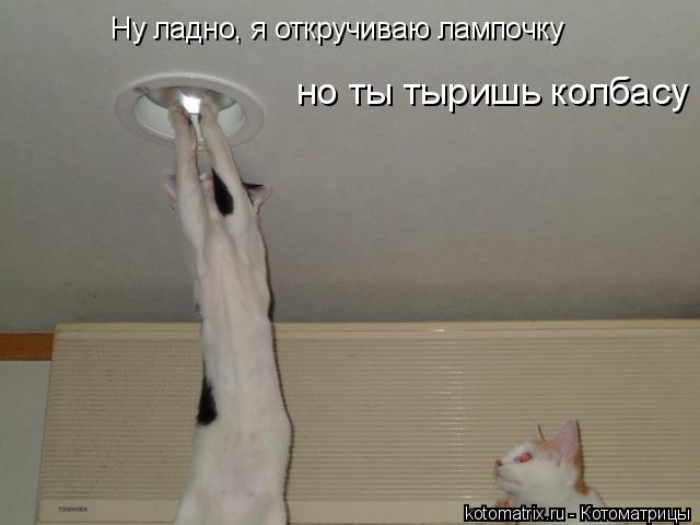 Ну ладно, я откручиваю лампочку но ты тыришь колбасу... Котоматрица: Ну ладно, я откручиваю лампочку но ты тыришь колбасу
