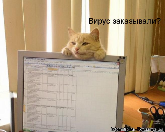 Котоматрица: Вирус заказывали?
