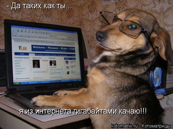- Да таких как ты... я из интернета гигабайтами качаю!!!... Котоматрица: - Да таких как ты... я из интернета гигабайтами качаю!!!