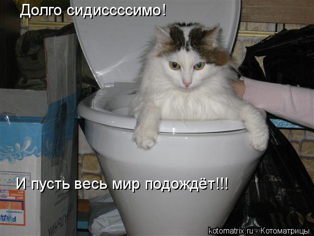 Долго сидиссссимо! И пусть весь мир подождёт!!!... Котоматрица: Долго сидиссссимо! И пусть весь мир подождёт!!!