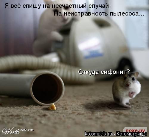 Я всё спишу на несчастный случай! Откуда сифонит? На неисправность пылесоса...... Котоматрица: Я всё спишу на несчастный случай! Откуда сифонит? На неисправность пылесоса...