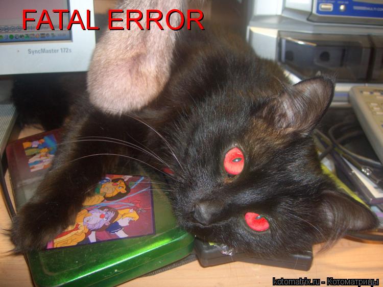 FATAL ERROR... Котоматрица: FATAL ERROR