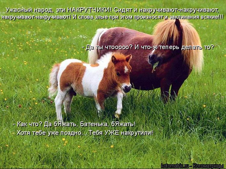 Ужасный народ, эти НАКРУТЧИКИ! Сидят и накручивают-накручивают, накручивают-накручивают! И слова злы... Котоматрица: Ужасный народ, эти НАКРУТЧИКИ! Сидят и накручивают-накручивают, накручивают-накручивают! И слова злые при этом произносят и заклинания вся