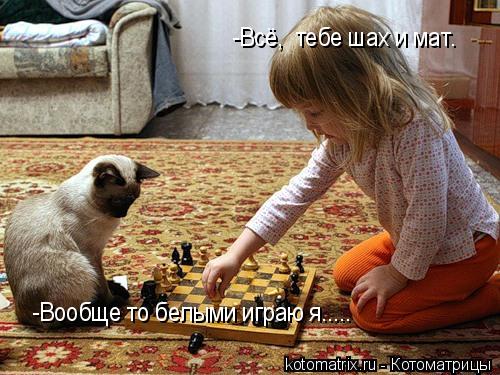 Котоматрица: -Всё,  тебе шах и мат. -Вообще то белыми играю я.....