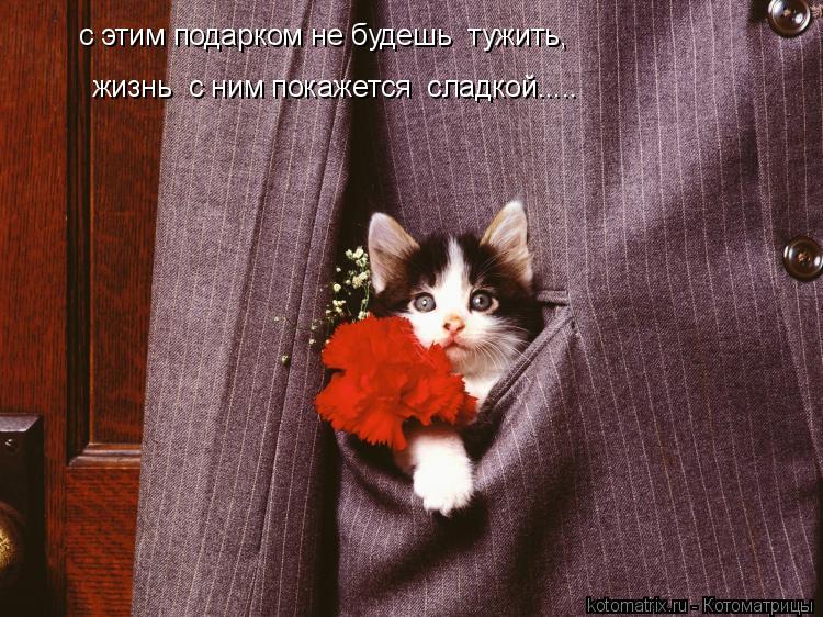 с этим подарком не будешь тужить, жизнь с ним покажется сладкой........ Котоматрица: с этим подарком не будешь тужить, жизнь с ним покажется сладкой.....