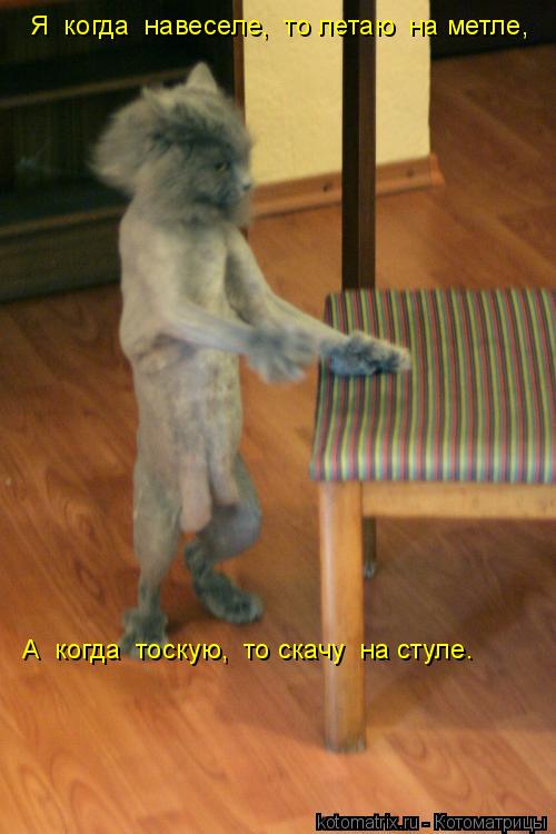 Я когда навеселе, то летаю на метле, А когда тоскую, то скачу на стуле.... Котоматрица: Я когда навеселе, то летаю на метле, А когда тоскую, то скачу на стуле.