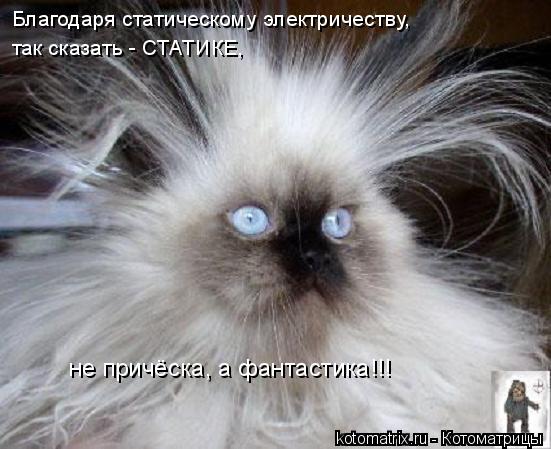 Благодаря статическому электричеству, так сказать - СТАТИКЕ, не причёска, а фантастика!!!... Котоматрица: Благодаря статическому электричеству, так сказать - СТАТИКЕ, не причёска, а фантастика!!!