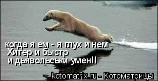когда я ем - я глух и нем Хитер и быстр и дьявольськи умен!!... Котоматрица: когда я ем - я глух и нем Хитер и быстр и дьявольськи умен!!