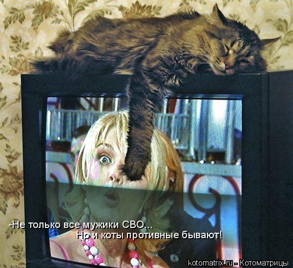 -Не только все мужики СВО... Но и коты противные бывают!... Котоматрица: -Не только все мужики СВО... Но и коты противные бывают!