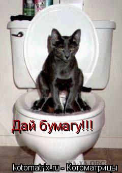 Дай бумагу!!!... Котоматрица: Дай бумагу!!!