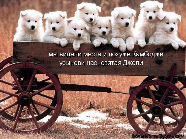 мы видели места и похуже Камбоджи усынови нас, святая Джоли... Котоматрица: мы видели места и похуже Камбоджи усынови нас, святая Джоли