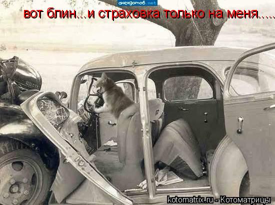 вот блин...и страховка только на меня........ Котоматрица: вот блин...и страховка только на меня.....