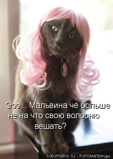 Эээ... Мальвина чё больше не на что свою волосню вешать?... Котоматрица: Эээ... Мальвина чё больше не на что свою волосню вешать?
