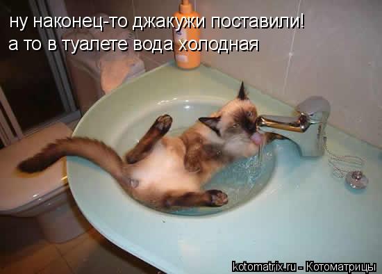 ну наконец-то джакужи поставили! а то в туалете вода холодная... Котоматрица: ну наконец-то джакужи поставили! а то в туалете вода холодная