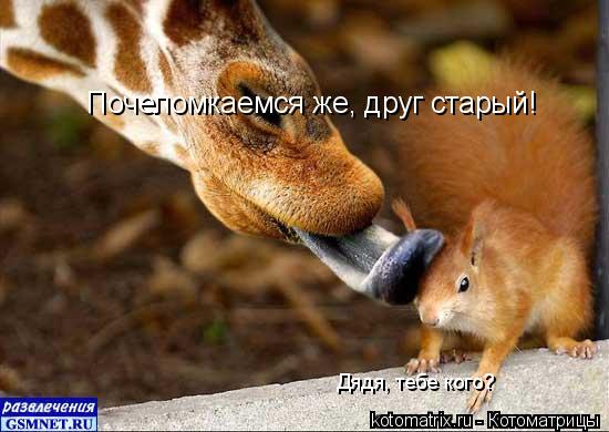 Почеломкаемся же, друг старый! Дядя, тебе кого?... Котоматрица: Почеломкаемся же, друг старый! Дядя, тебе кого?
