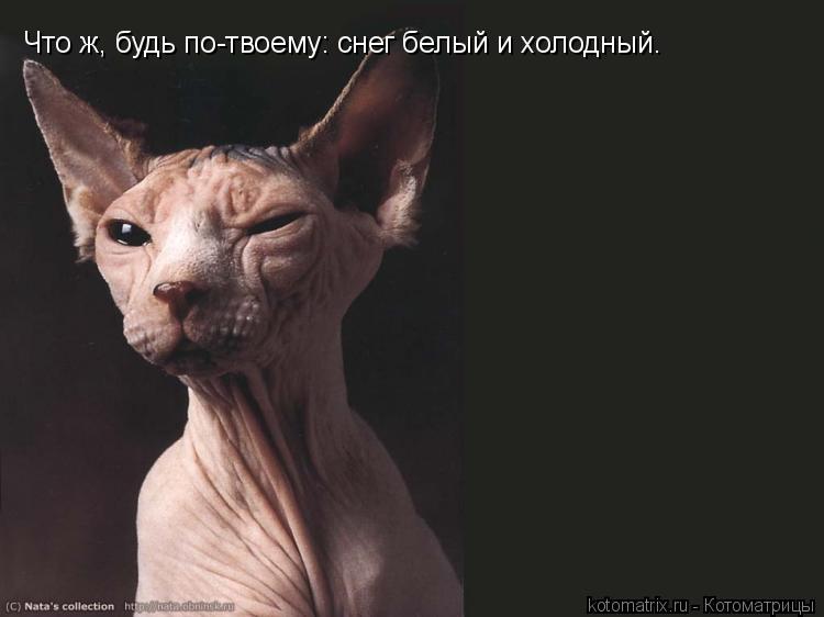 Что ж, будь по-твоему: снег белый и холодный.... Котоматрица: Что ж, будь по-твоему: снег белый и холодный.