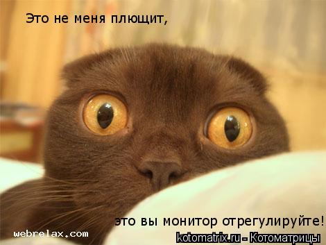 Это не меня плющит, это вы монитор отрегулируйте!... Котоматрица: Это не меня плющит, это вы монитор отрегулируйте!