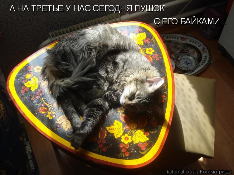 А НА ТРЕТЬЕ У НАС СЕГОДНЯ ПУШОК С ЕГО БАЙКАМИ...... Котоматрица: А НА ТРЕТЬЕ У НАС СЕГОДНЯ ПУШОК С ЕГО БАЙКАМИ...