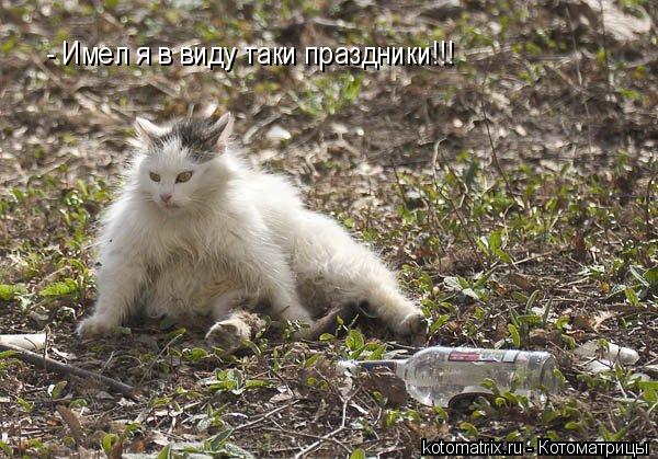 - Имел я в виду таки праздники!!!... Котоматрица: - Имел я в виду таки праздники!!!