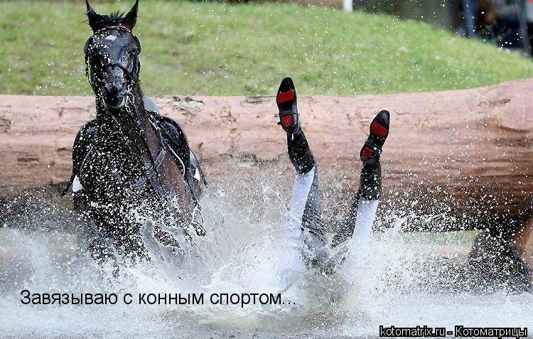Завязываю с конным спортом...... Котоматрица: Завязываю с конным спортом...