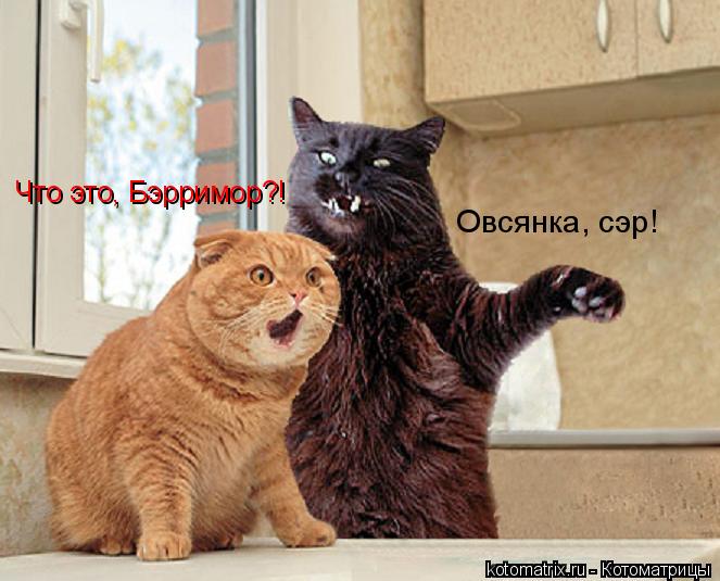 Что это, Бэрримор?! Овсянка, сэр!... Котоматрица: Что это, Бэрримор?! Овсянка, сэр!