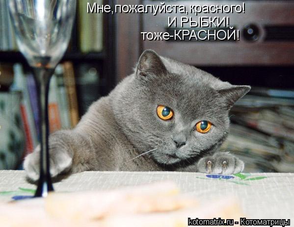 Мне,пожалуйста,красного! И РЫБКИ! тоже-КРАСНОЙ!... Котоматрица: Мне,пожалуйста,красного! И РЫБКИ! тоже-КРАСНОЙ!