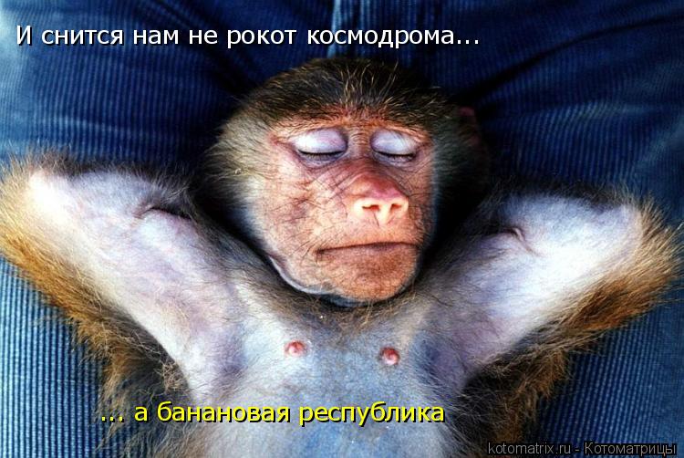 И снится нам не рокот космодрома... ... а банановая республика... Котоматрица: И снится нам не рокот космодрома... ... а банановая республика