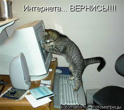 Интернета... ВЕРНИСЬ!!!!... Котоматрица: Интернета... ВЕРНИСЬ!!!!