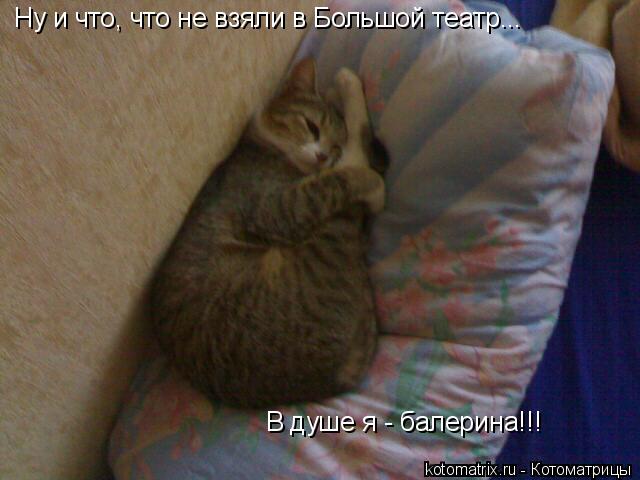 Ну и что, что не взяли в Большой театр... В душе я - балерина!!!... Котоматрица: Ну и что, что не взяли в Большой театр... В душе я - балерина!!!