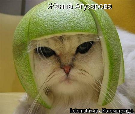 Жанна Агузарова... Котоматрица: Жанна Агузарова