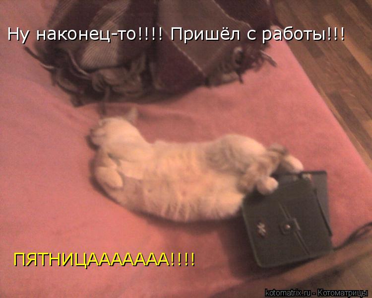 Ну наконец-то!!!! Пришёл с работы!!! ПЯТНИЦААААААА!!!!... Котоматрица: Ну наконец-то!!!! Пришёл с работы!!! ПЯТНИЦААААААА!!!!
