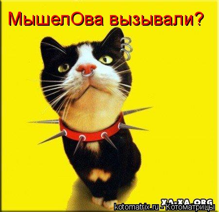 МышелОва вызывали?... Котоматрица: МышелОва вызывали?