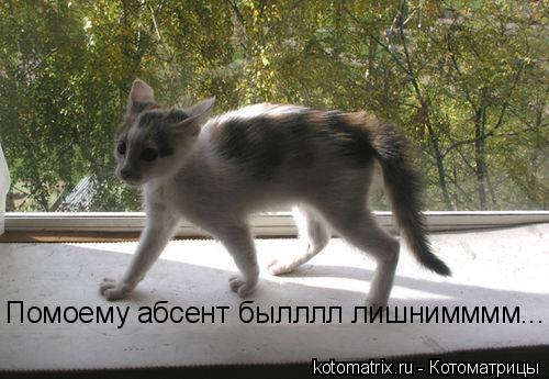 Помоему абсент былллл лишнимммм...... Котоматрица: Помоему абсент былллл лишнимммм...