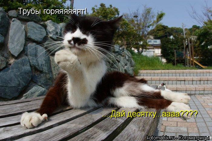Трубы горяяяяяят! ....Дай десятку...аааа????... Котоматрица: Трубы горяяяяяят! ....Дай десятку...аааа????