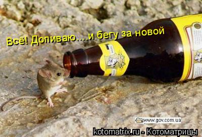 Всё! Допиваю....и бегу за новой... Котоматрица: Всё! Допиваю....и бегу за новой