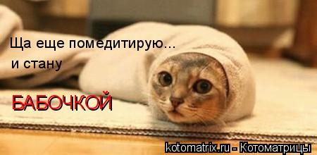 Ща еще помедитирую... и стану БАБОЧКОЙ... Котоматрица: Ща еще помедитирую... и стану БАБОЧКОЙ