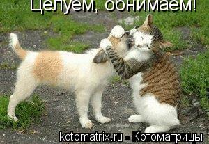 http://kotomatrix.ru/images/lolz/2008/06/19/qP.jpg