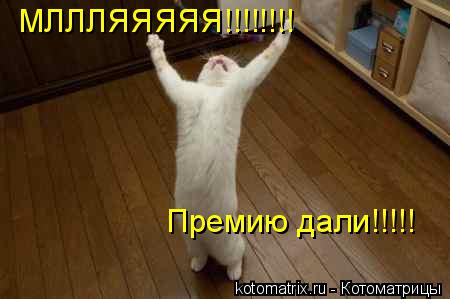 МЛЛЛЯЯЯЯЯ!!!!!!!! Премию дали!!!!!... Котоматрица: МЛЛЛЯЯЯЯЯ!!!!!!!! Премию дали!!!!!