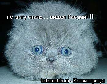 не могу спать.... видел Касуми!!!!... Котоматрица: не могу спать.... видел Касуми!!!!