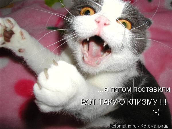 ...а потом поставили ВОТ ТАКУЮ КЛИЗМУ !!! :-(... Котоматрица: ...а потом поставили ВОТ ТАКУЮ КЛИЗМУ !!! :-(