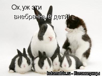 Ох,уж эти внебрачные дети!... Котоматрица: Ох,уж эти внебрачные дети!