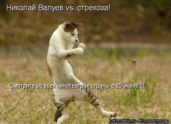 Николай Валуев vs. стрекоза! Смотрите во всех кинотеатрах страны с 25 июня!!!!!... Котоматрица: Николай Валуев vs. стрекоза! Смотрите во всех кинотеатрах страны с 25 июня!!!!!