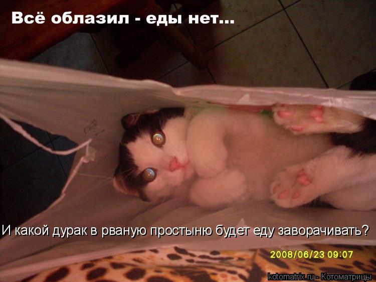 И какой дурак в рваную простыню будет еду заворачивать?... Котоматрица: И какой дурак в рваную простыню будет еду заворачивать?