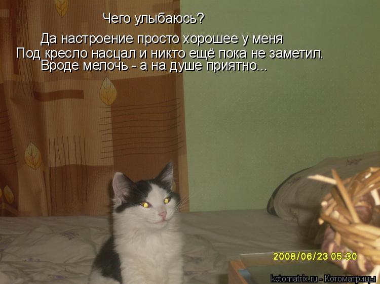 Чего улыбаюсь? Да настроение просто хорошее у меня Под кресло насцал и никто ещё пока не заметил. Вро... Котоматрица: Чего улыбаюсь? Да настроение просто хорошее у меня Под кресло насцал и никто ещё пока не заметил. Вроде мелочь - а на душе приятно...