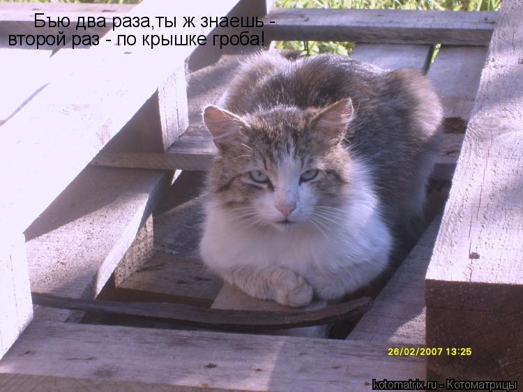Бъю два раза,ты ж знаешь - второй раз - по крышке гроба!... Котоматрица: Бъю два раза,ты ж знаешь - второй раз - по крышке гроба!