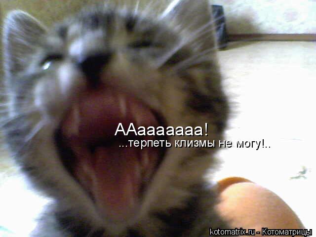ААааааааа! ...терпеть клизмы не могу!..... Котоматрица: ААааааааа! ...терпеть клизмы не могу!..
