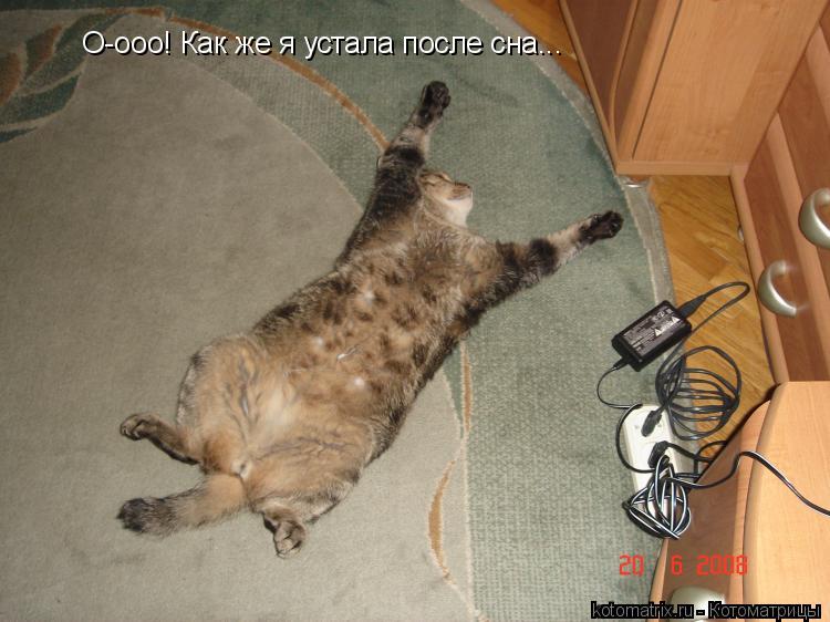 О-ооо! Как же я устала после сна...... Котоматрица: О-ооо! Как же я устала после сна...